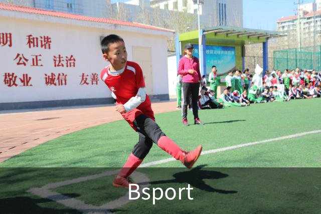Bsport公司形象图